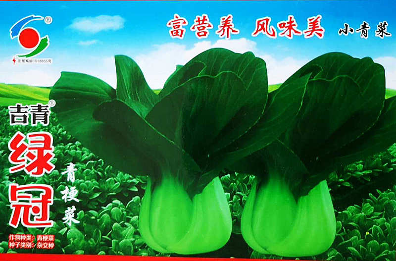 吉青绿冠——青梗菜